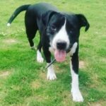 Tinkerbell's Journey: A Tale of Hope and Resilience